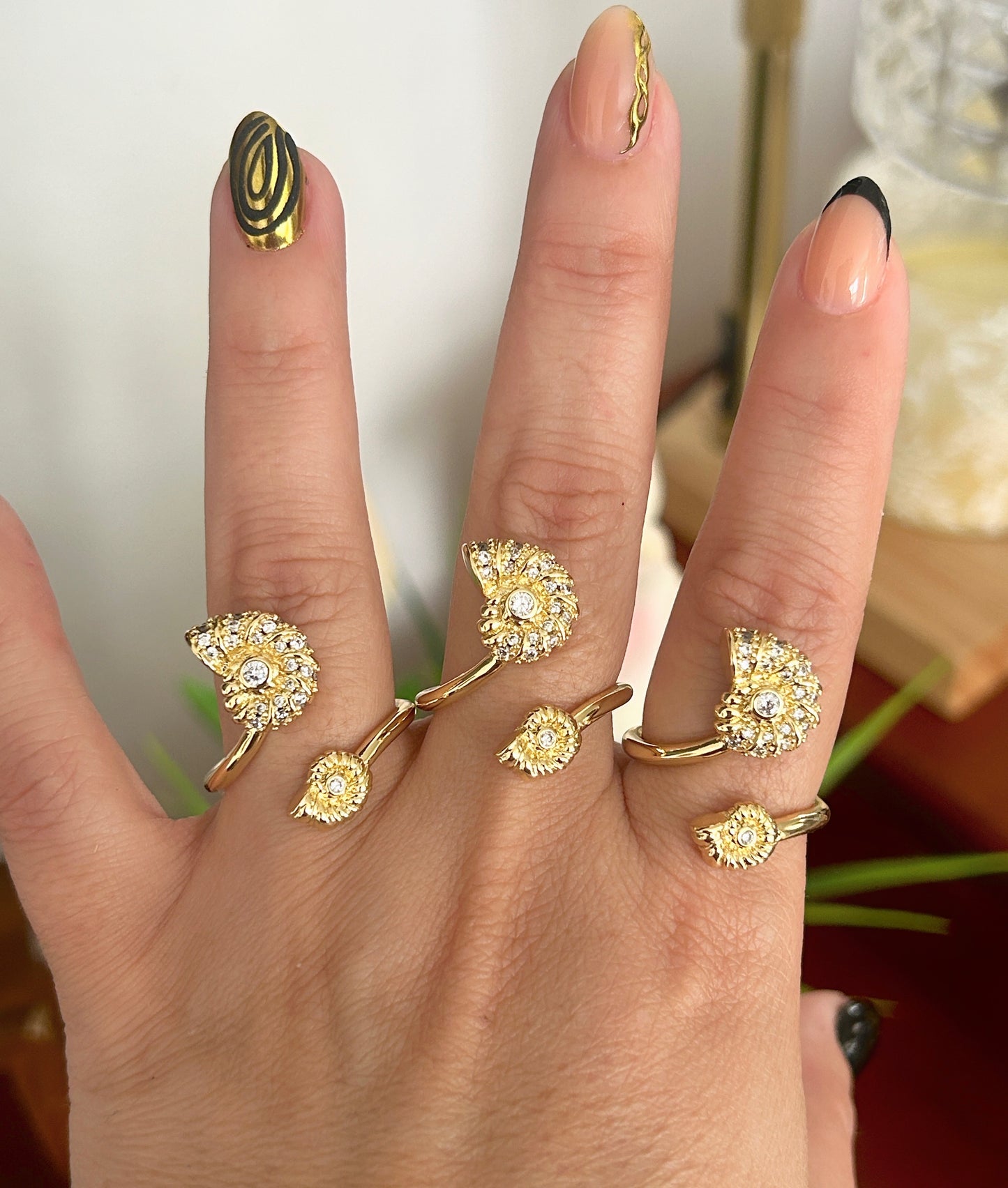 Shell Ring