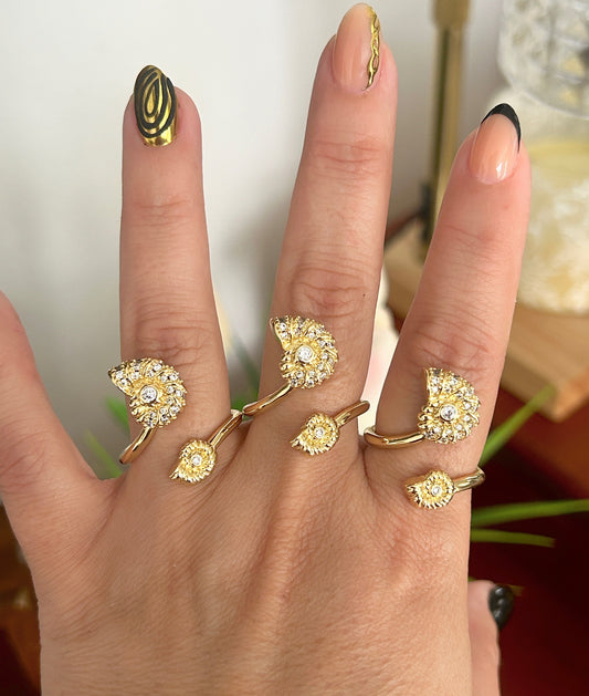 Shell Ring